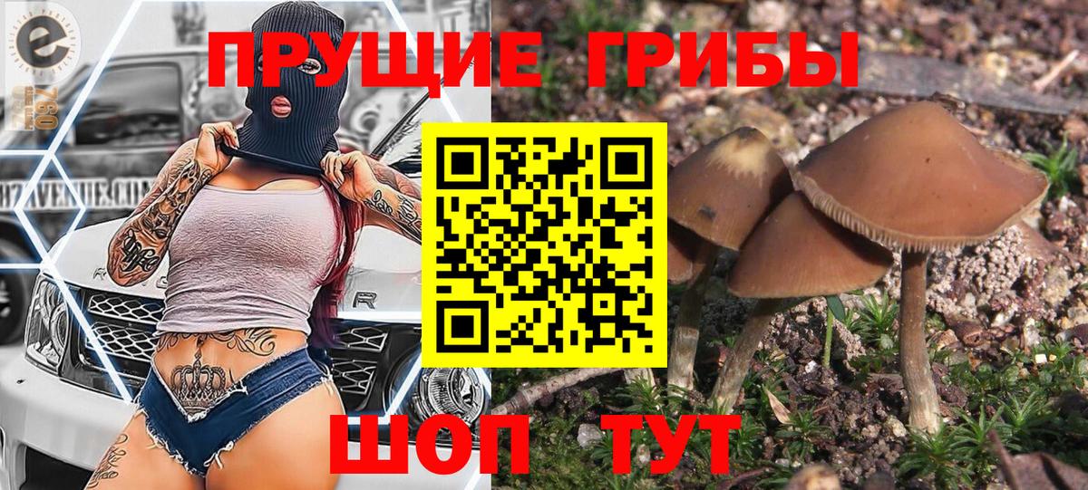 Галлюциногенные грибы ЛСД Борисоглебск