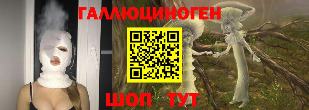 Псилоцибиновые грибы Psilocybine cubensis  Вход с VPN  Борисоглебск  Галлюциногенные грибы мицелий 